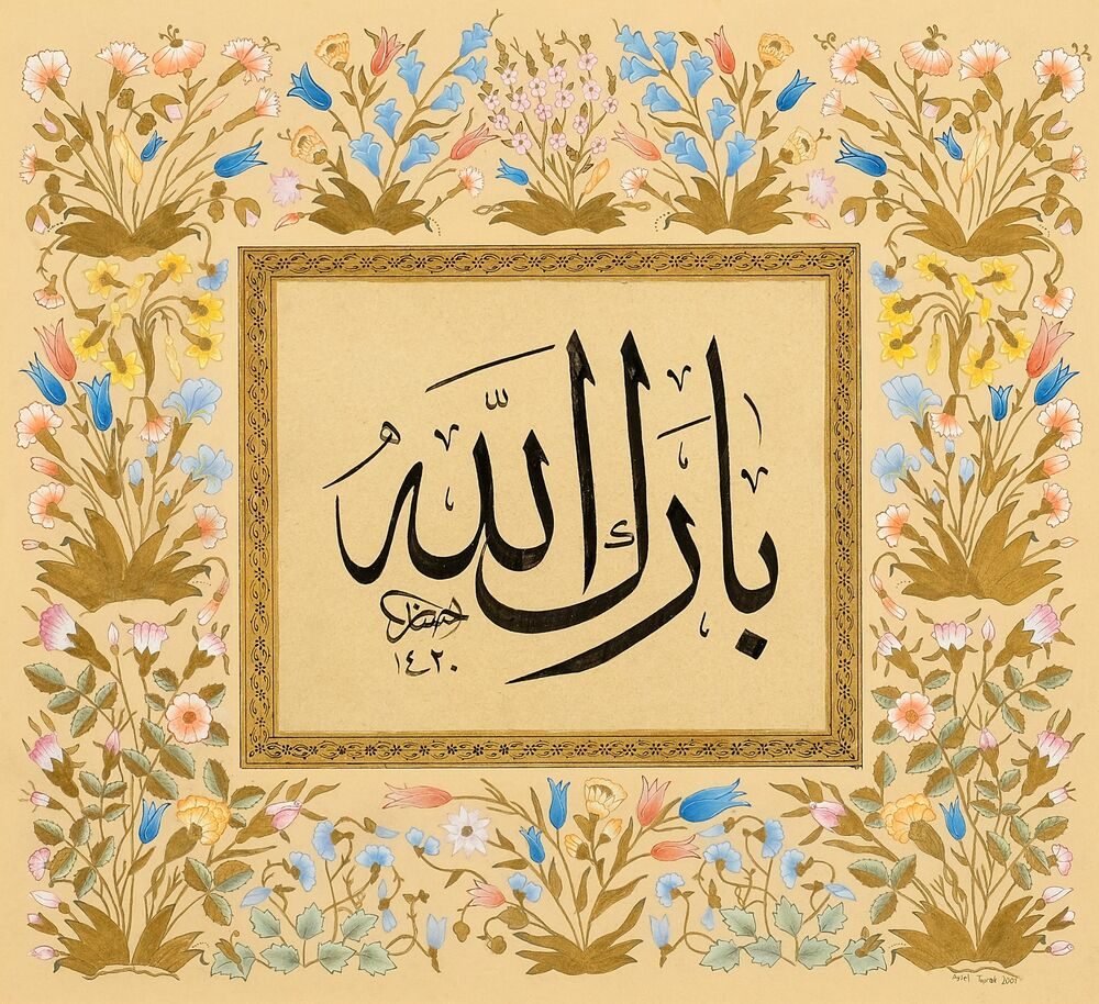 Floral illumination border